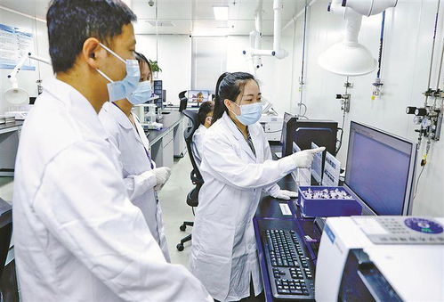 廈門 發展高端高能產業，培育高質量創新主體，企業信息技術咨詢服務賦能新質生產力