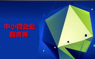 300萬元額度來襲 中小微企業信息技術咨詢服務券火熱申領中